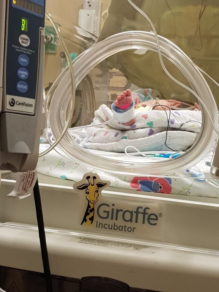 20171005_115900-1920×1080-1-rotated