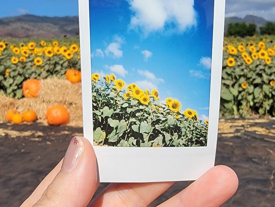 Through your heart and mind