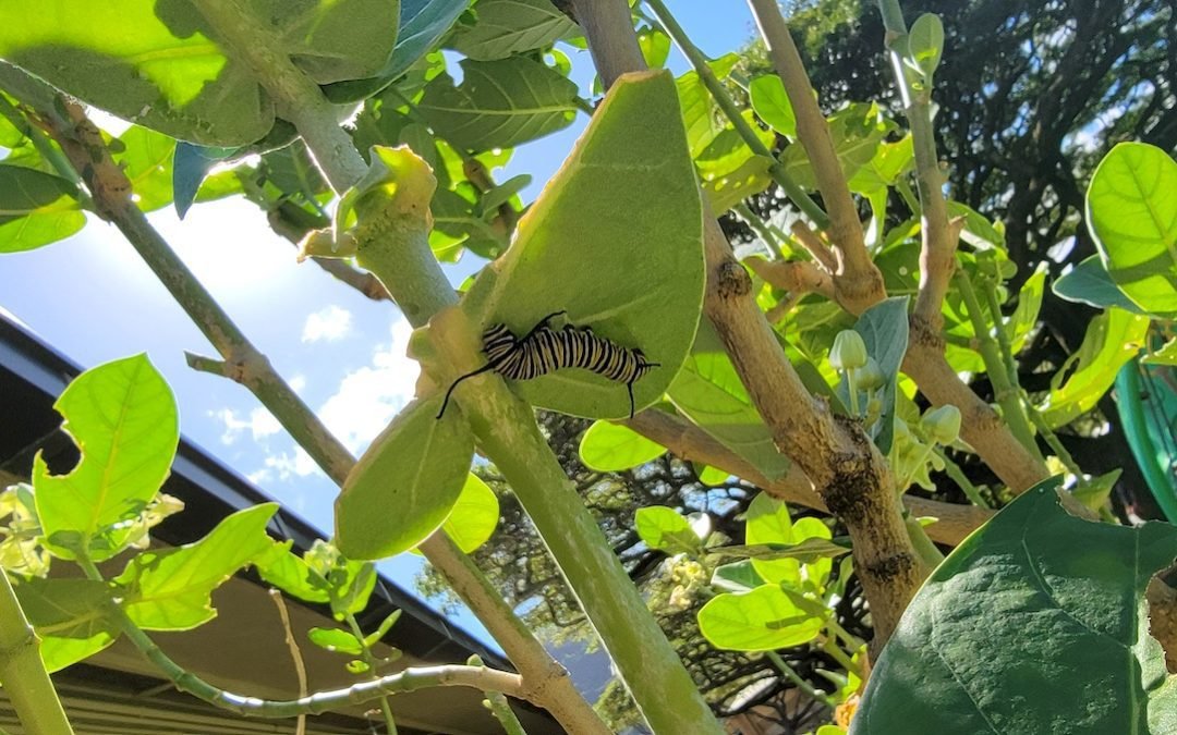 Transformation for new 2/22/22