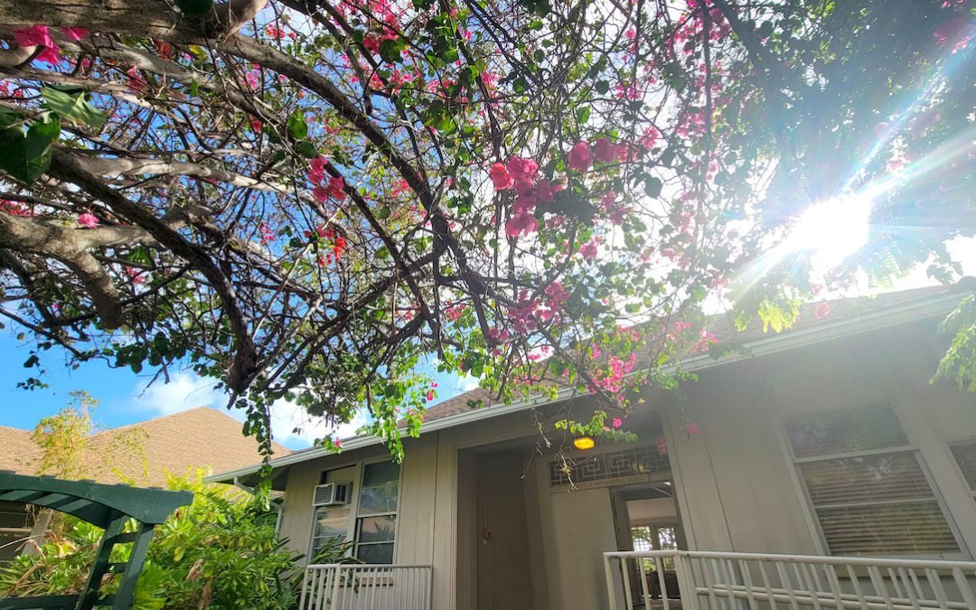 Being Loved by the little one