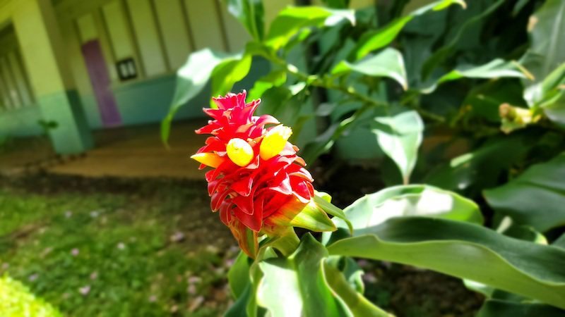 Don’t over explain