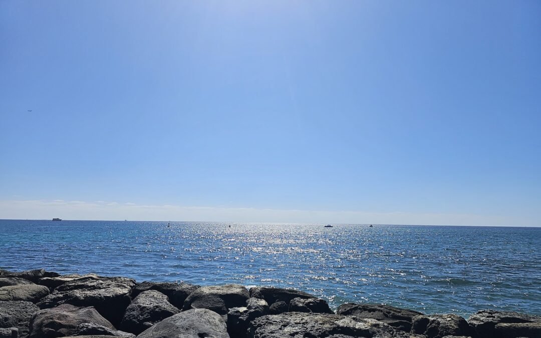 Go with the flow and accept changes