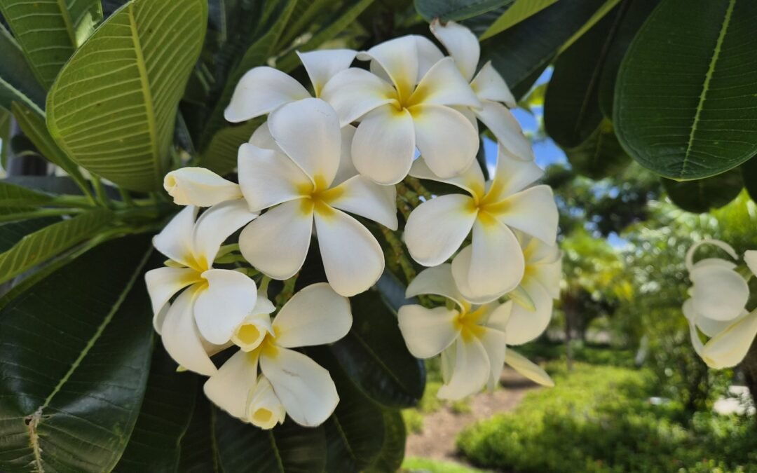 A Small Moment of Awareness