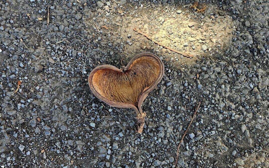 A Small Shift That Made a Big Difference